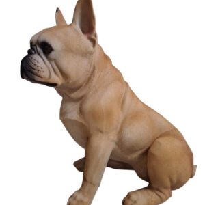 Franse Bulldog zittend 43cm bruin