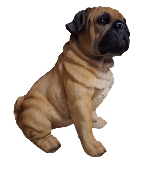 Mops hond zittend 35cm bruin