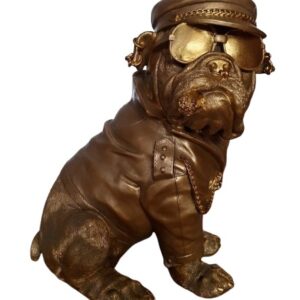 Engelse bulldog zittend biker goudkleurig