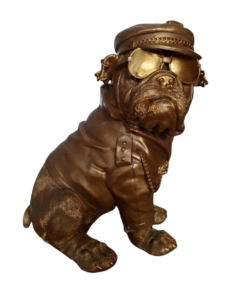 Engelse bulldog zittend biker goudkleurig