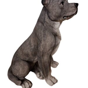 Stafford donkergrijs zittend 33cm