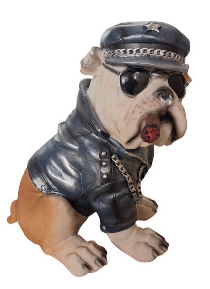 Engelse bulldog zittend biker 22cm
